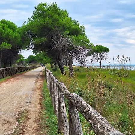 Modern With Terrace In * Bibione