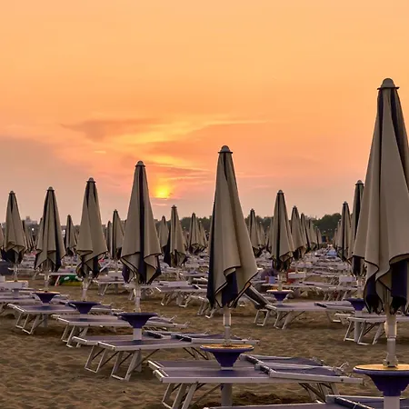 Elegant For A Stylish Bibione